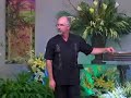The Finger Of God 2