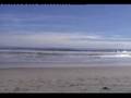 Surfing Mt Maunganui NZ