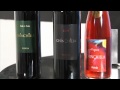 Chinchilla 2006. Bodega Doña Felisa - Chinchilla Red Wine.mp4