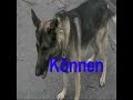 de?na and k?nnen de?na and k?nnen