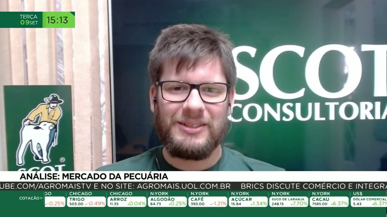Análise: mercado da pecuária