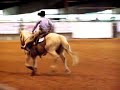 Federico Sigala Cow horse Show