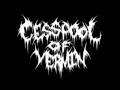 Cesspool of Vermin - Puncturing Paraplegic Pussy (Demo Version)