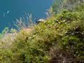 cliff jump 94ft