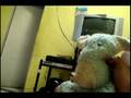 videos de Gordinho o oculista