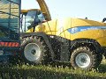 O Brien Bros. at maize