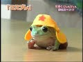 まあ、これでも見て元気出して