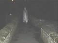 Ghosts