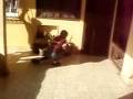 View Video