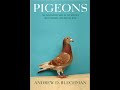 Andrew Blechman - author of "Pigeons" ( Interview )