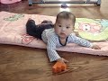MOV02208.MPG