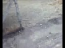 discesa da paura 2 a pratora