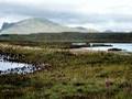 Ecosse