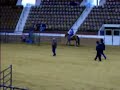 Bad Horsey!