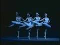 4 Swans