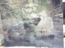 So Sings the Chattahoochee 6B - Chapter 6B