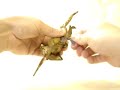 Vintage Crawling Wind-Up Soldier Toy DRGM Germany Vintage Crawling Wind-Up Soldier Toy DRGM Germany