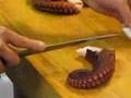 sashimi