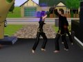 Sims 3: Martial Arts Sparring
