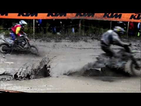 grand national results