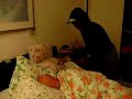scary movie part 5
