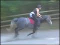 Sofie video