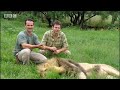 Extreme Animals: Into the Lion's Den!