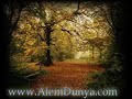 www-alemdunya-com-Am