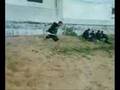 3run free running-capoeira-trickz-tanger-morocco part 2
