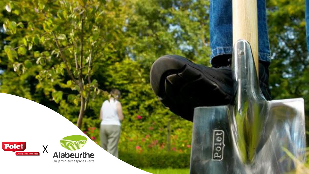 Interview Polet - Alabeurthe