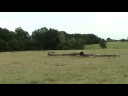 Room en ik spingen zonder zadel en hoofdstel