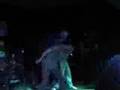 Chimaera - Passion Sets The Killing