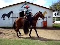 Cavalos.... e Eguas Parte 2 Cavalos.... e Eguas Parte 2