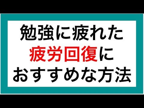 動画