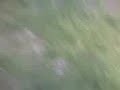 japons fat ass creamed by cheap ass fusbal