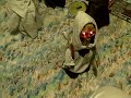 The Cats vs. the Undead Army part 3