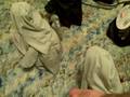 videos de The Cats vs. the Undead Army part 3
