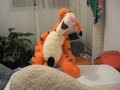 Tigger und Luthi Tigger und Luthi