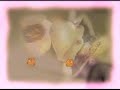 Grismannen - Brunt Hum�r �r Det Som Susen G�r