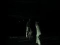 Spratly K9 Street Protection Training