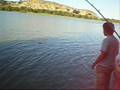 videos de Pesca en Chiprana/mequinenza