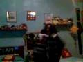 videos de ara stocco e ara ponce techtonik