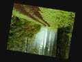 Brasil Instrumental- artist unknown.wmv