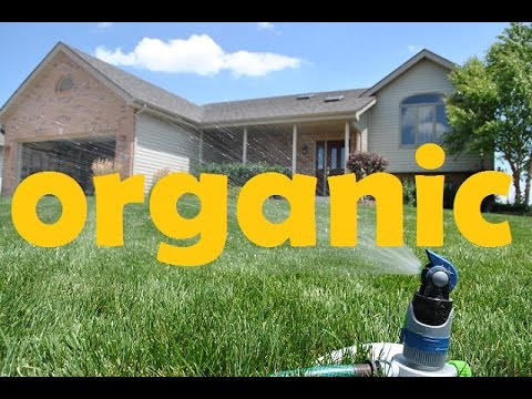 how to fertilize a lawn organically