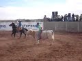 Jaripeo en Milpillas