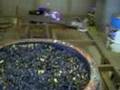 Gasifier (downdraft), Internal Examination Video part 1 of 3