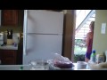 Alynn's surprise