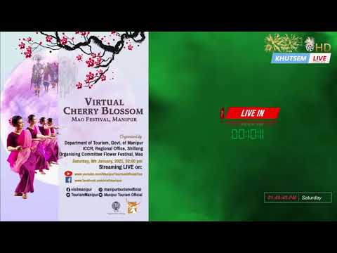 Virtual Cherry Blossom Mao Festival 2021