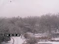 Ice on Sagging Trees