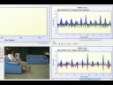 WiiGroup 08-09 Fatigue Factor